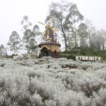 Get and Ride 5 taman edelweiss bali